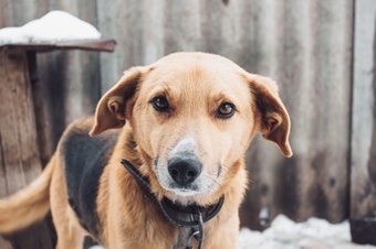 pexels-sergey-okhrymenko-1676912-min.jpg